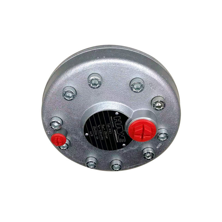 HAWE Radial Piston Pump Type R, RG And RZ DESIGAN 7631 6010/ 6910 6011/ 6911 6012/ 6912 6014/ 6914 6016/ 6916